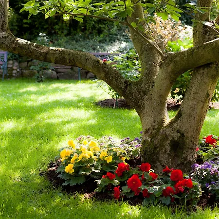 Hotel Garni Schlossgarten