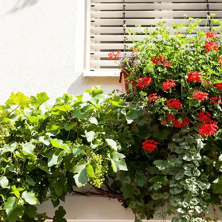 Hotel Garni Schlossgarten 3*