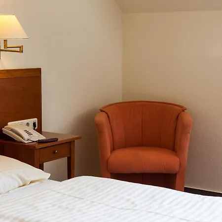 Hotel Garni Schlossgarten 3*